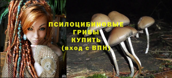 винт Новодвинск