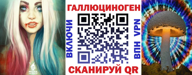 mega сайт  Любань  Галлюциногенные грибы Cubensis 